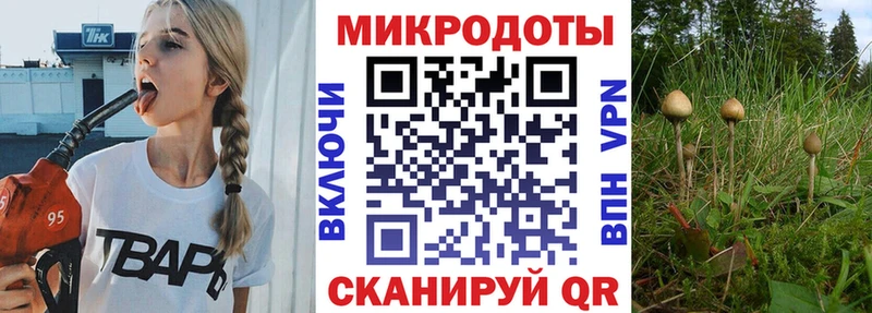 Псилоцибиновые грибы Psilocybe  Козельск 