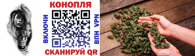 продажа наркотиков  Козельск  ссылка на мегу вход  Канабис OG Kush 